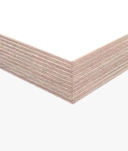 multiplex berk primer